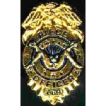 PIECE OFFICER BADGE PIN